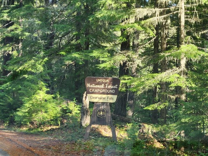 Clearwater Falls Campground