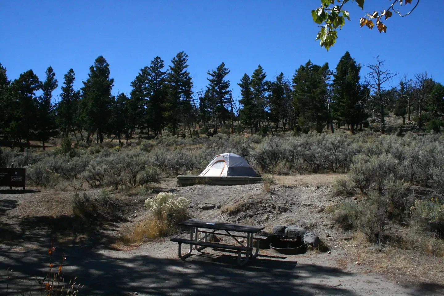 Mammoth site #82