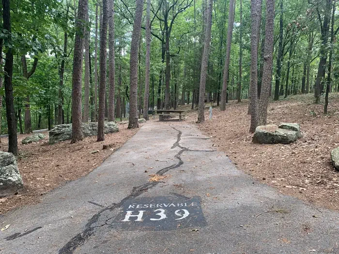 H39