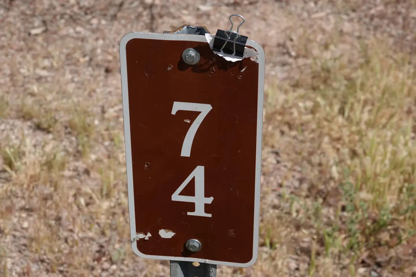 Site 74