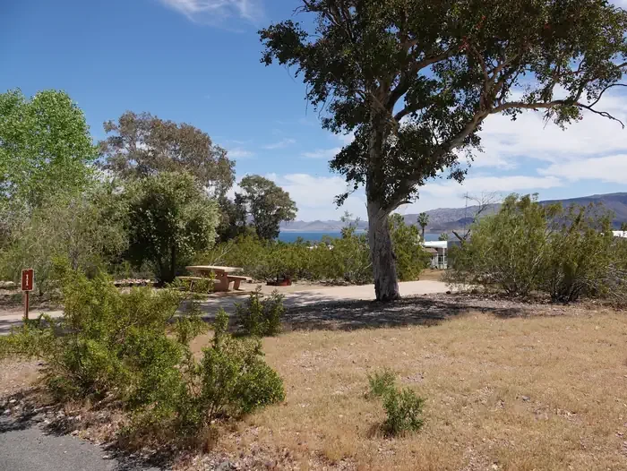 Site 11