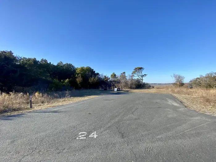 A24