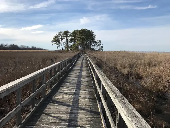 Eastern Neck National Wildlife Refuge (NWR) Permits
