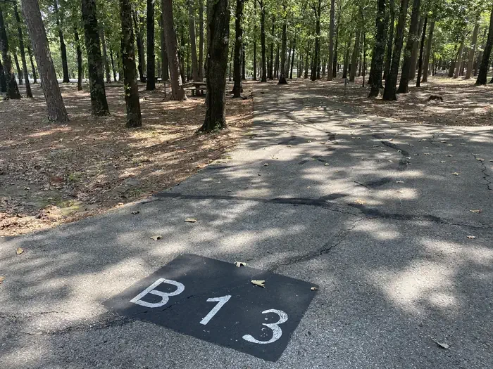 B13