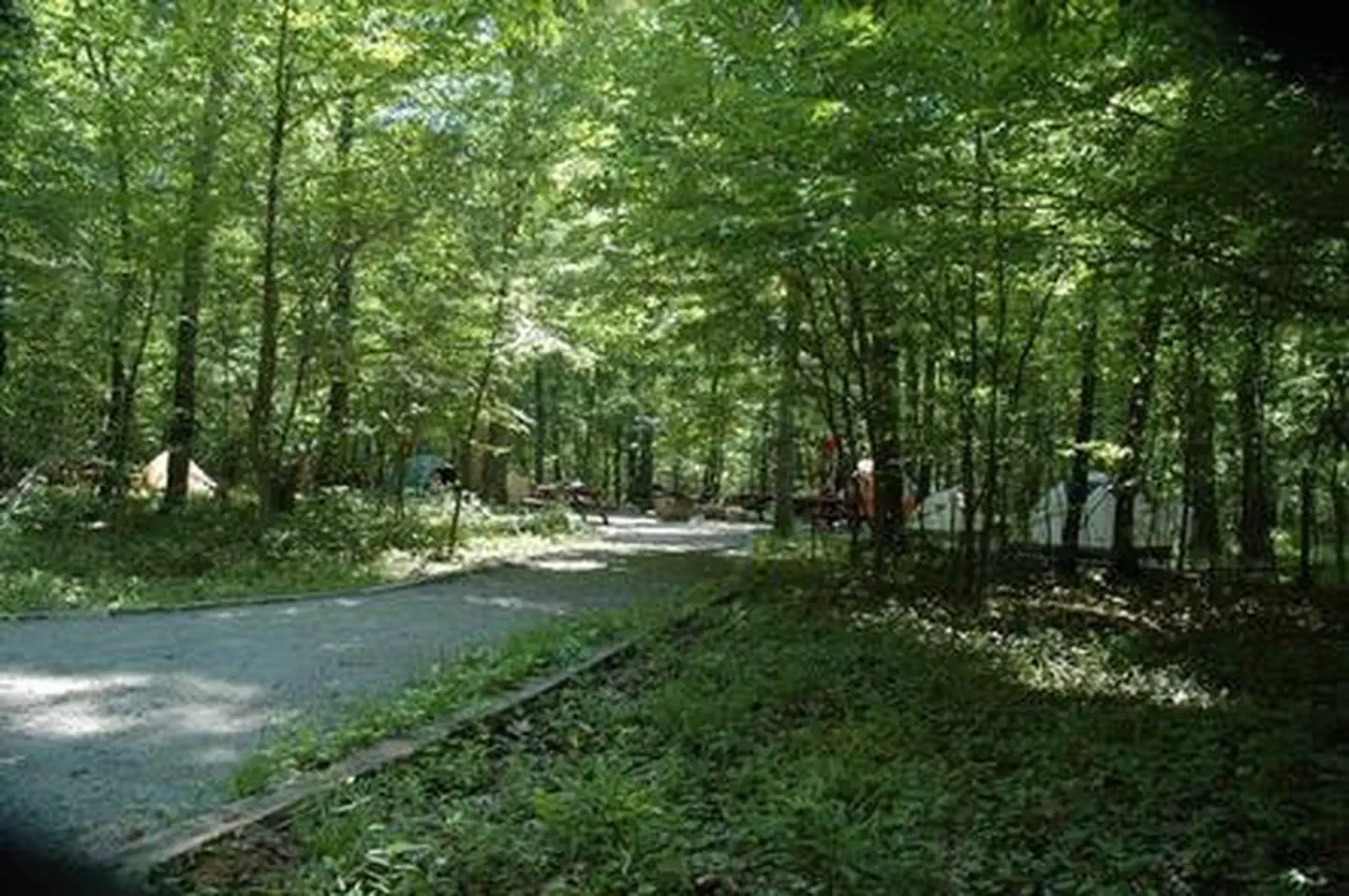 Elizabeth Furnace Group Camp