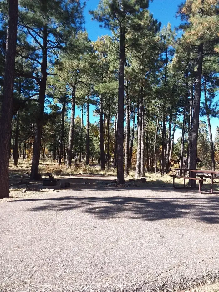 Crook Campground