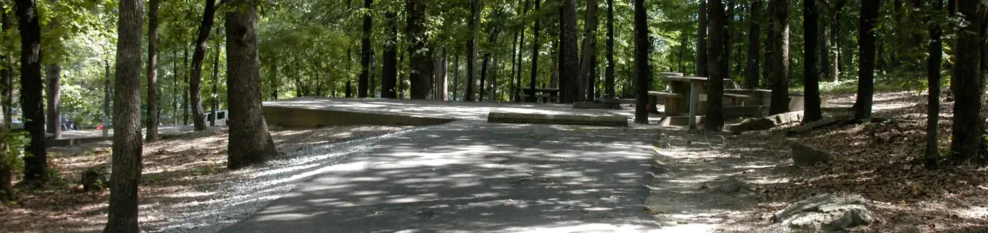 H11