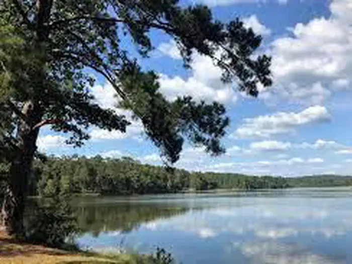 Payne Lake Recreation Area - Day Use