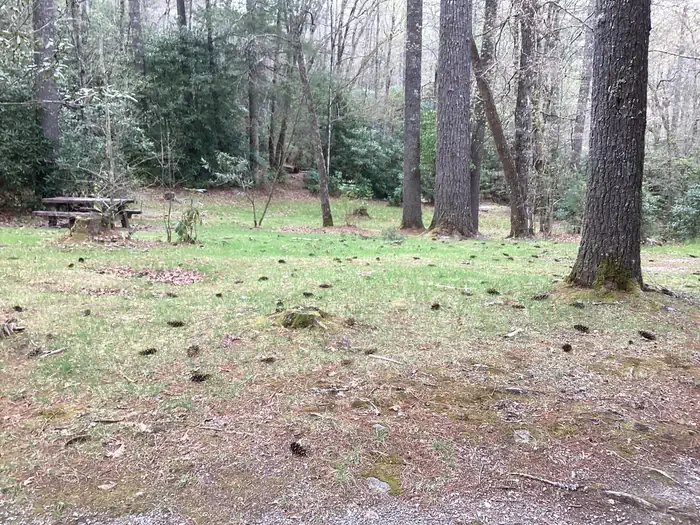 Large Shelter