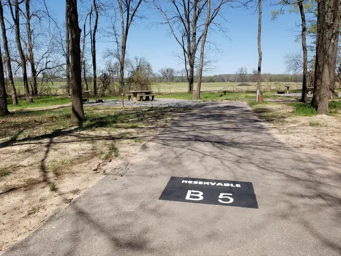 B5