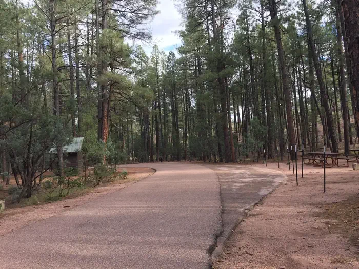 Ponderosa (az)