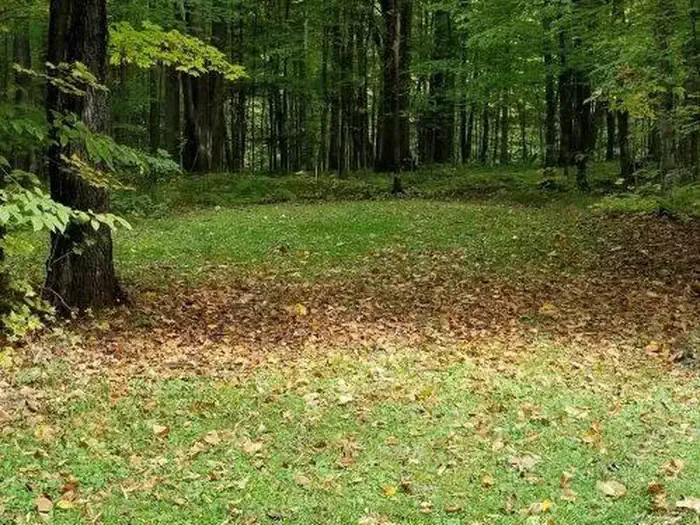 S31