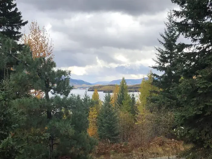 Anna Creek Cabin