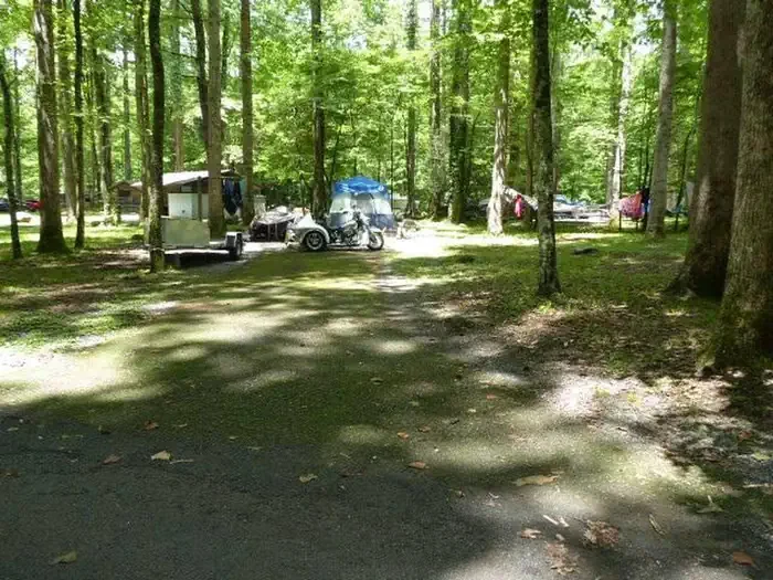 H12