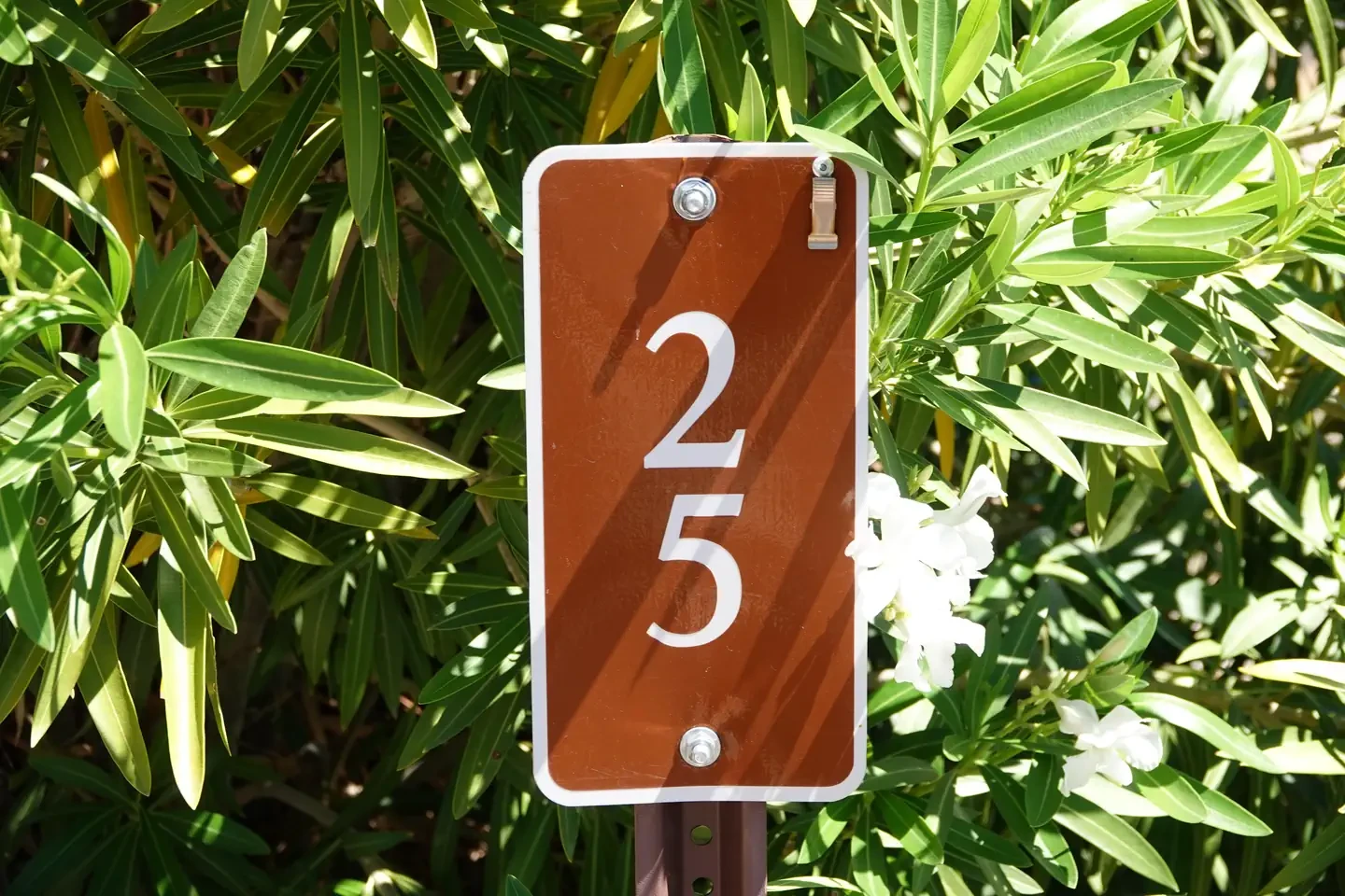Site 25