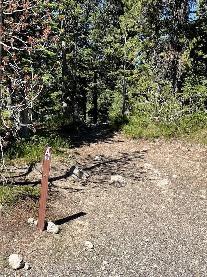 Lewis Lake site #83