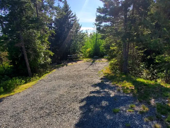 A43