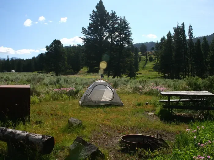 Slough Creek site #15