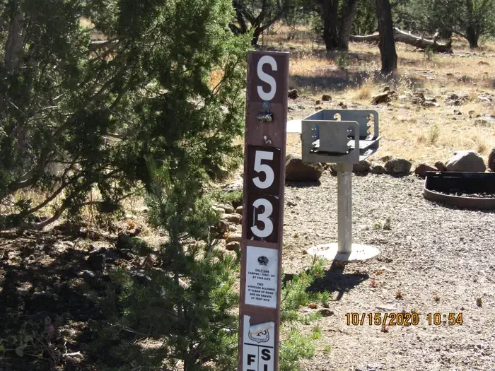 53