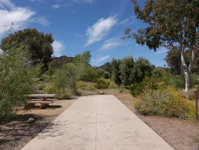 Site 25