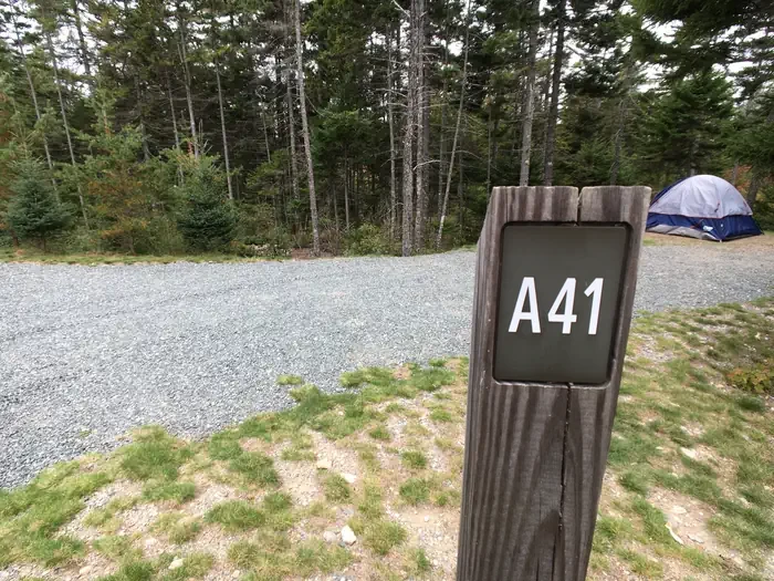 A41