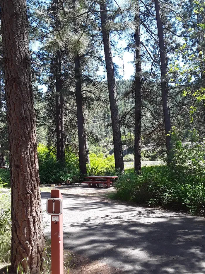 Sloway Campground (MT)