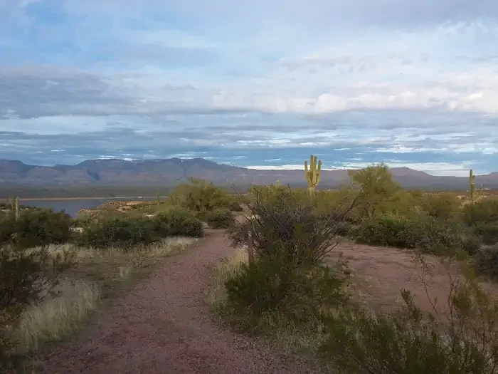 Grapevine Group Campground