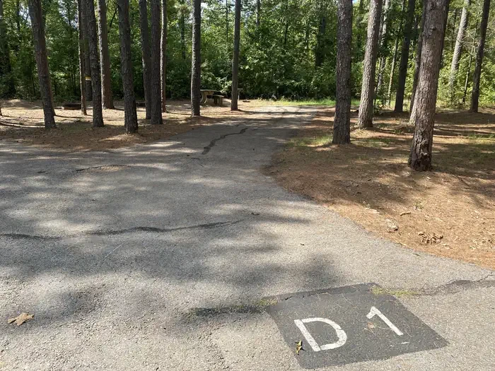 D01