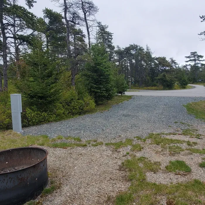 A13
