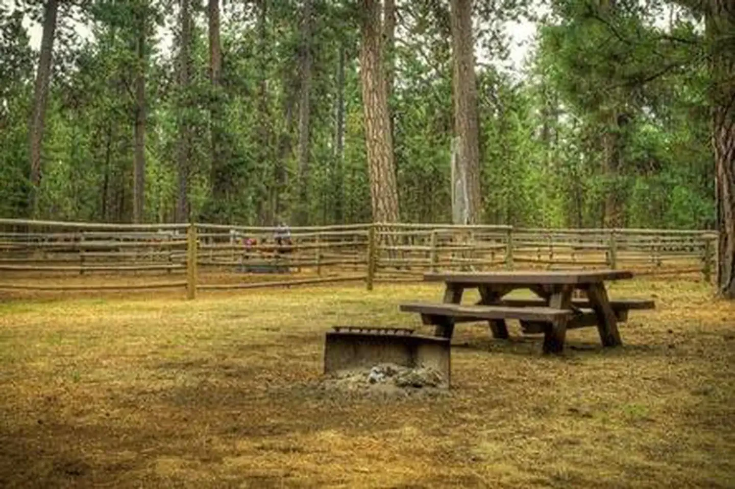 Graham Corral Horse Campground