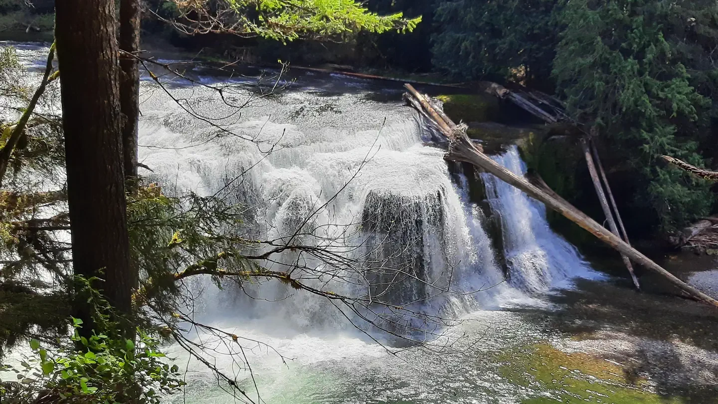 Lewis River Recreation Area Tickets