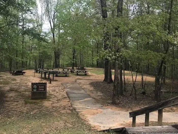 Acorn Camp