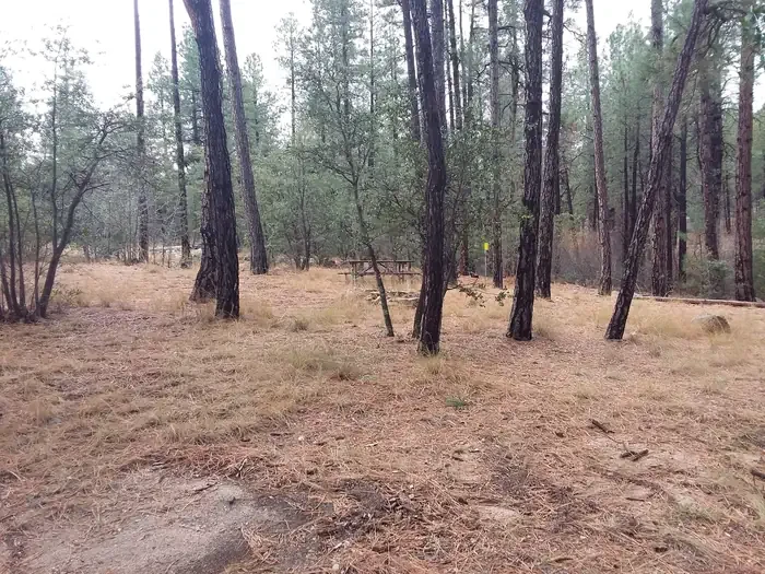 Turney Gulch Group