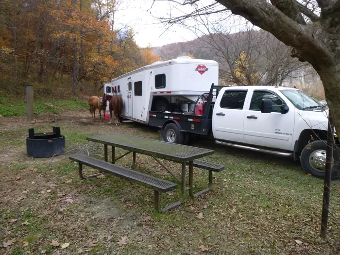 33 - Horse Site
