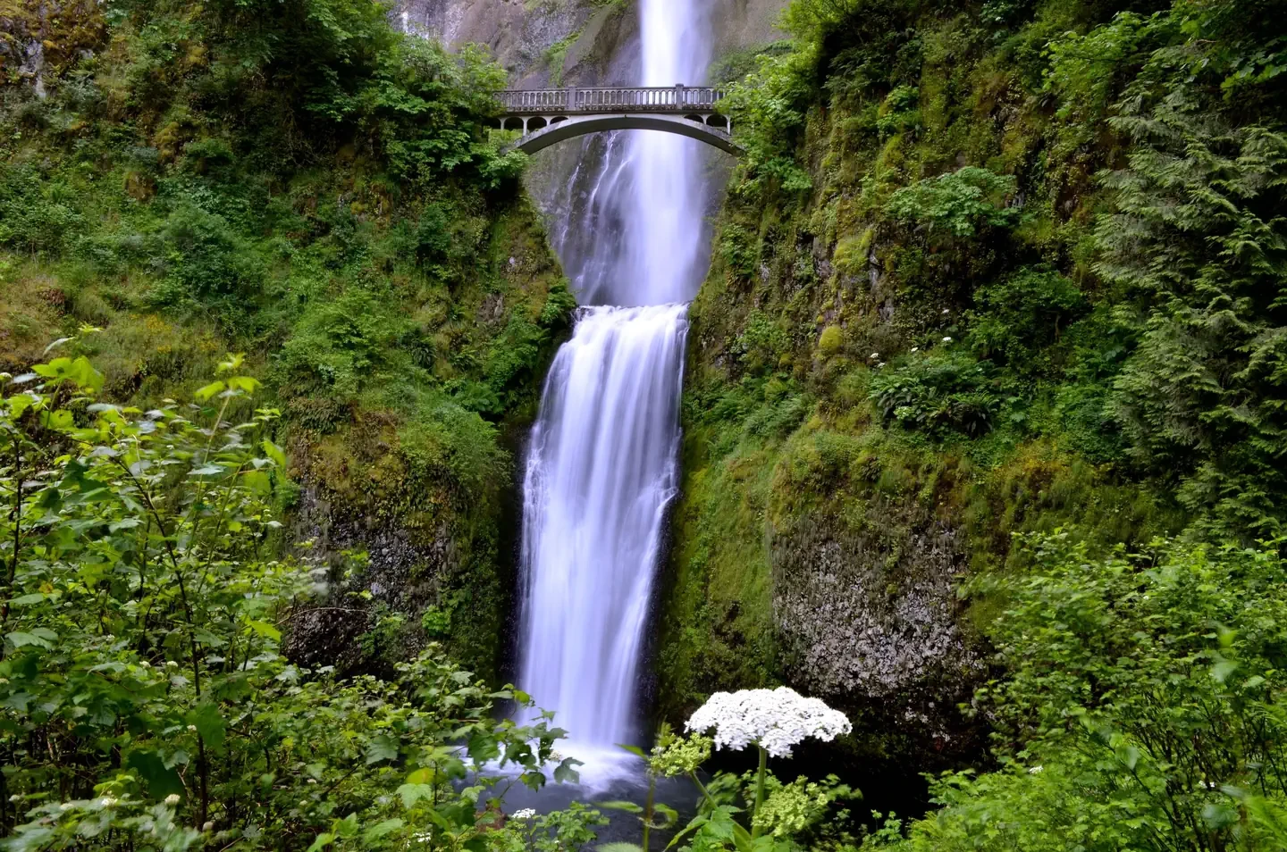 (Deactivated) Multnomah Falls Timed Reservation Tickets