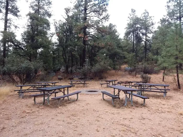 Loop C Group Picnic