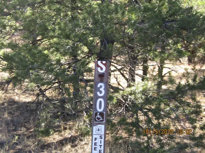 30