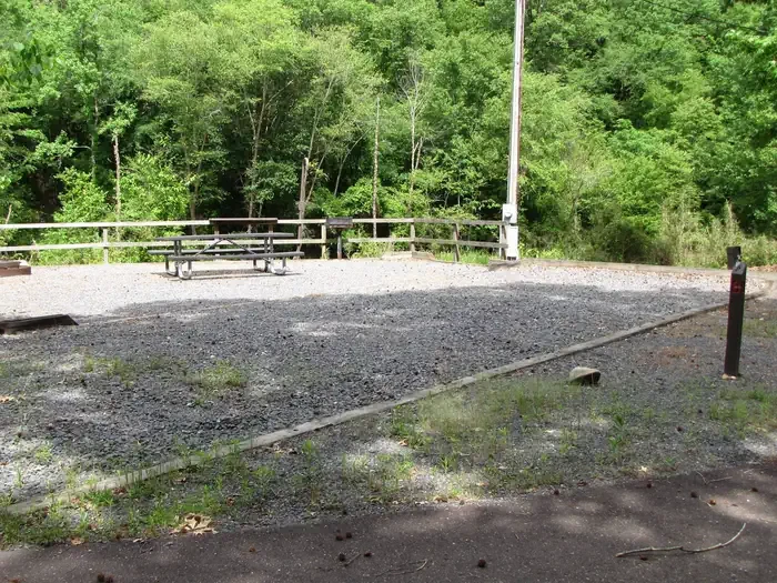 Site 8