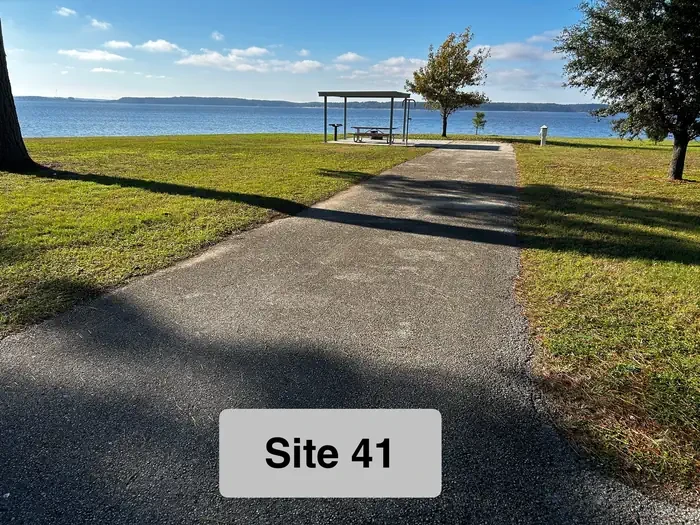 41