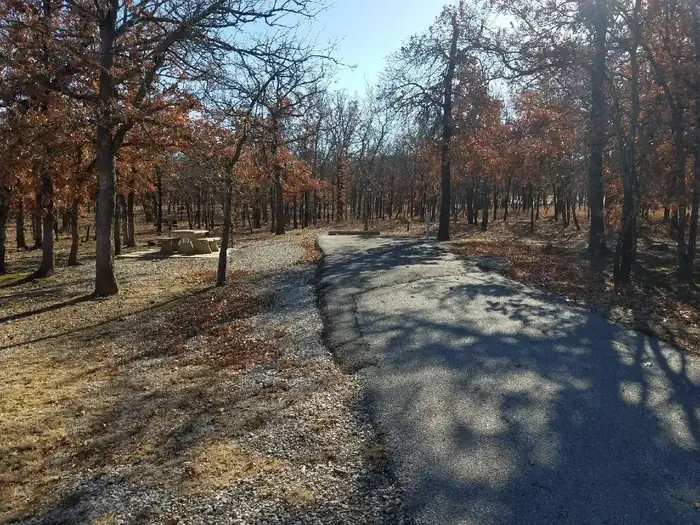A13