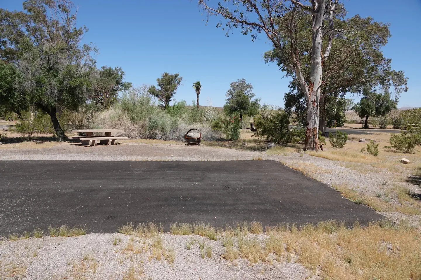 Site 10