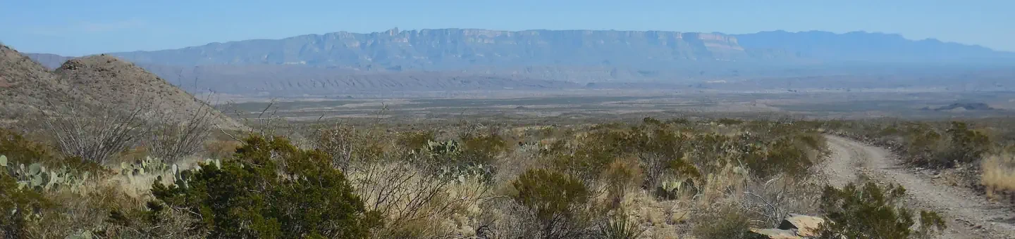 Pine Canyon 1
