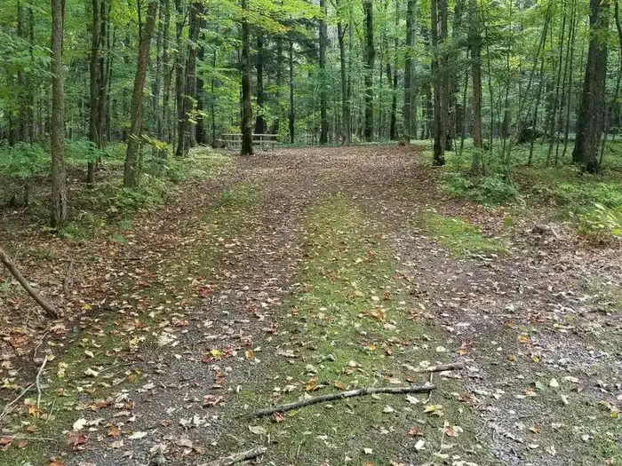 S47