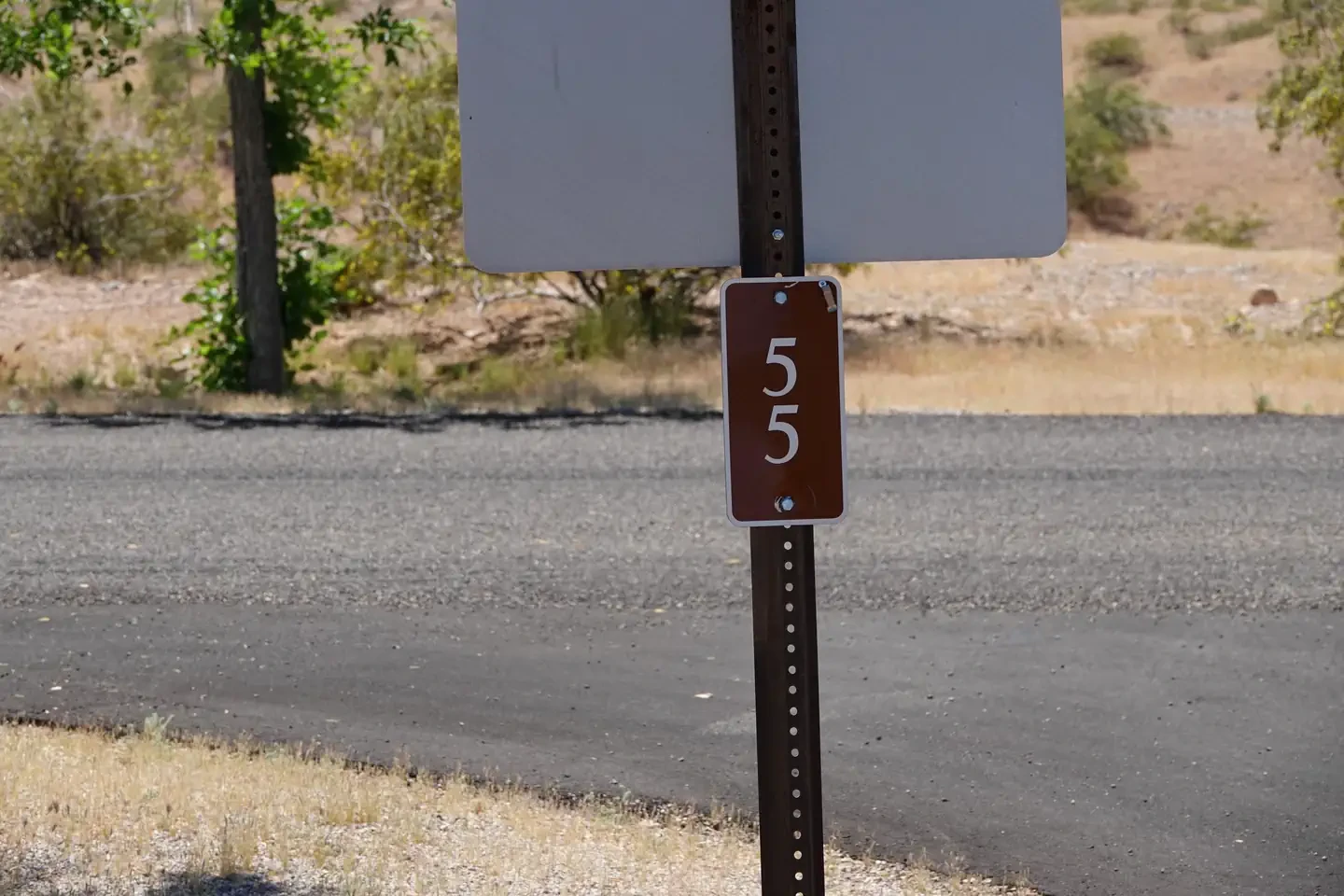 Site 55