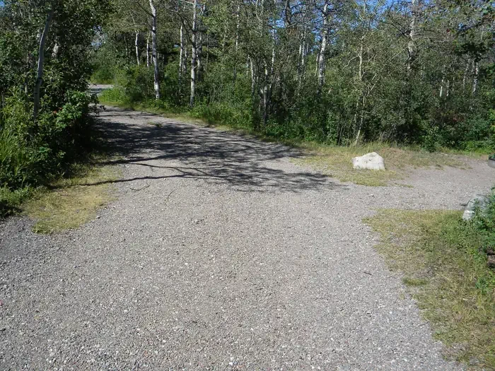 C131