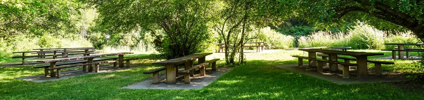 Shenoah Picnic Area