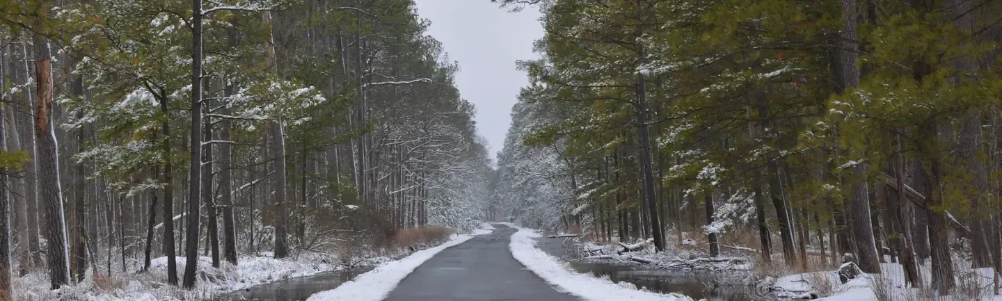 Blackwater National Wildlife Refuge Deer Hunt Permits