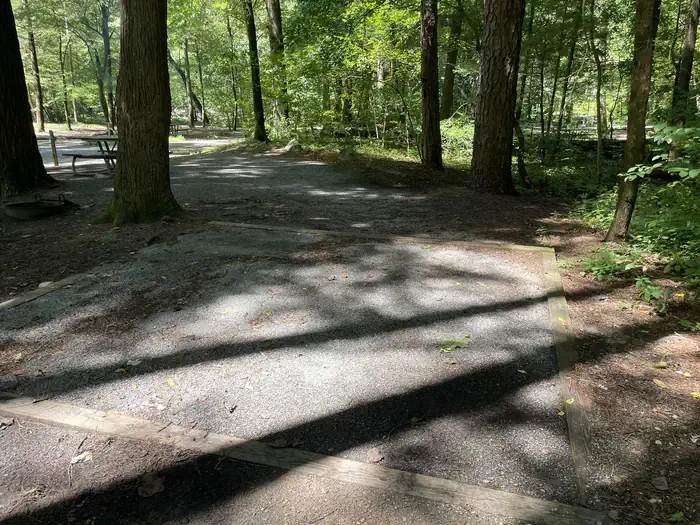 A13