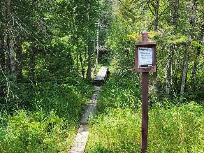 Ewing Point Campsite