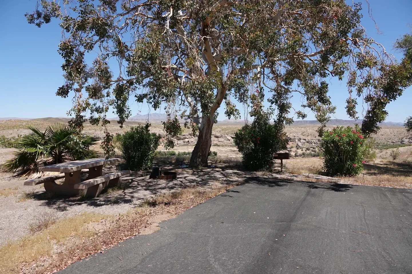 Site 42